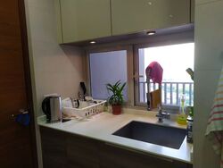The Meyerise (D15), Condominium #377877971